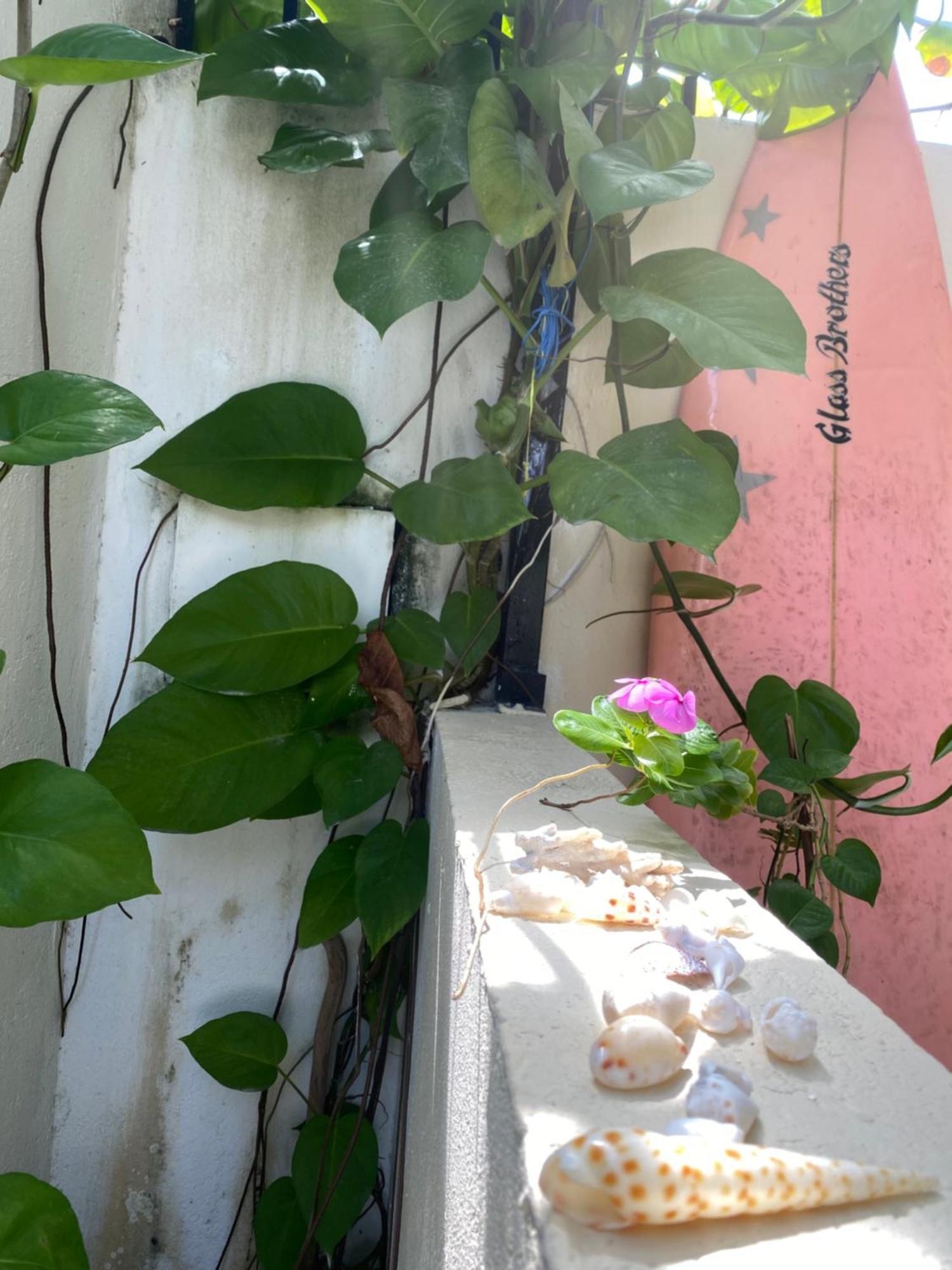 Maavaharu Guest House Himmafushi Esterno foto
