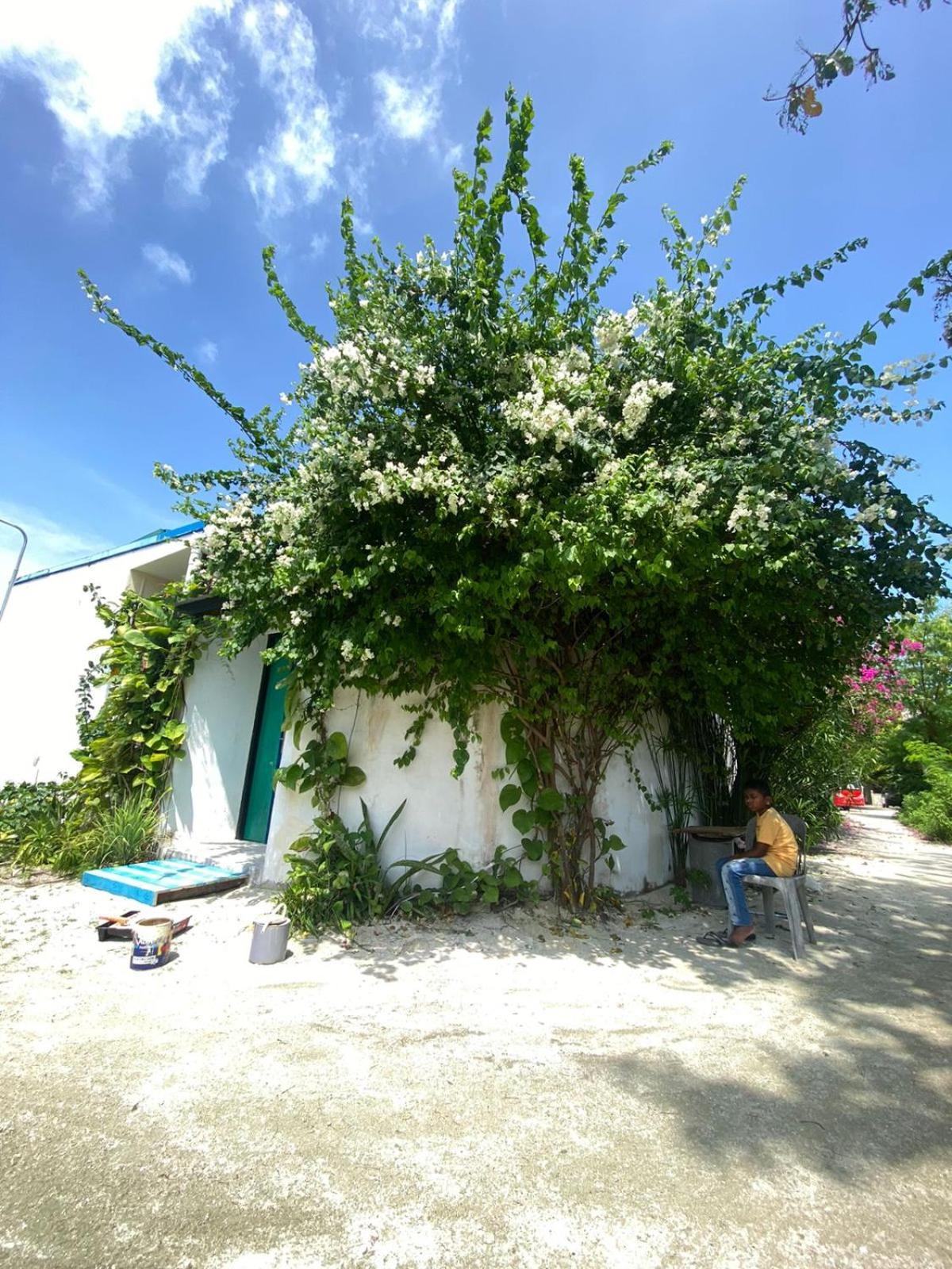 Maavaharu Guest House Himmafushi Esterno foto